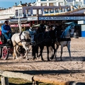 La ville d'El-Rocio, Espagne.||<img src=_data/i/upload/2018/06/28/20180628153449-09d01d0b-th.jpg>