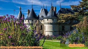 Château et Parc de Chaumont sur Loire-2-6