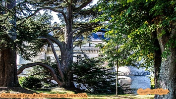 Château et Parc de Chaumont sur Loire-0026