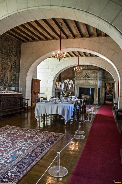 Château_et_Parc_de_Chaumont_sur_Loire-0049 (Site).jpg