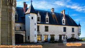 Château et Parc de Chaumont sur Loire-0064
