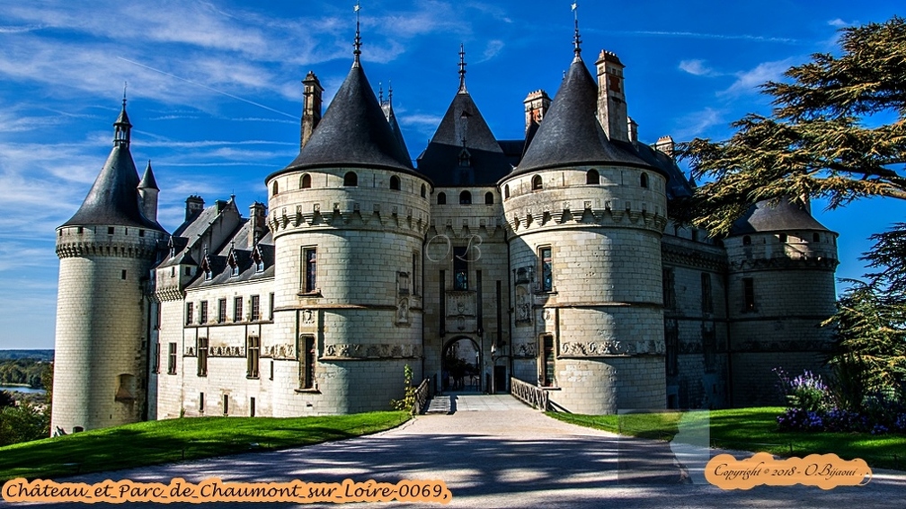 Château_et_Parc_de_Chaumont_sur_Loire-0069.jpg