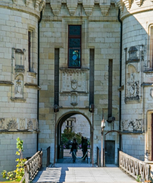 Château_et_Parc_de_Chaumont_sur_Loire-0071 (Site).jpg