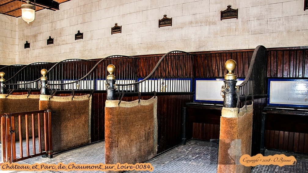 Château_et_Parc_de_Chaumont_sur_Loire-0084.jpg