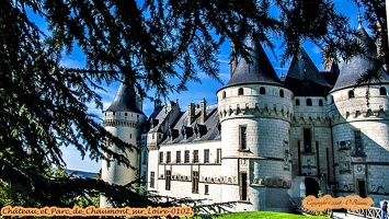 Château et Parc de Chaumont sur Loire-0102