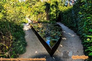 Château et Parc de Chaumont sur Loire-0154 (Site)