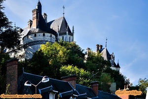 Chaumont sur Loire-0002