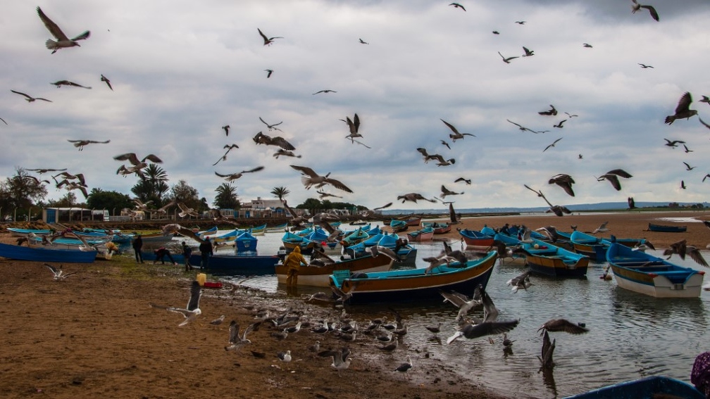 Moulay-Bousselham (8) (Site).jpg