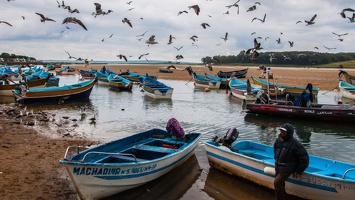 Moulay-Bousselham (9) (Site)