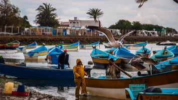 Moulay-Bousselham (10) (Site)