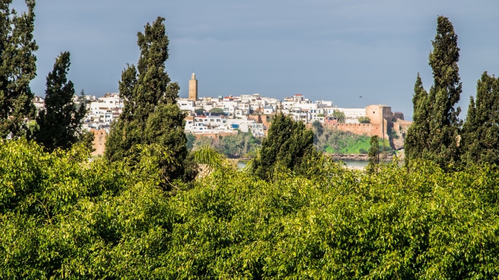 Rabat-Maroc_199 (Site).jpg