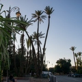 Marrakech-Maroc 230 (Site)||<img src=_data/i/upload/2019/04/26/20190426150754-299d2bb2-th.jpg>