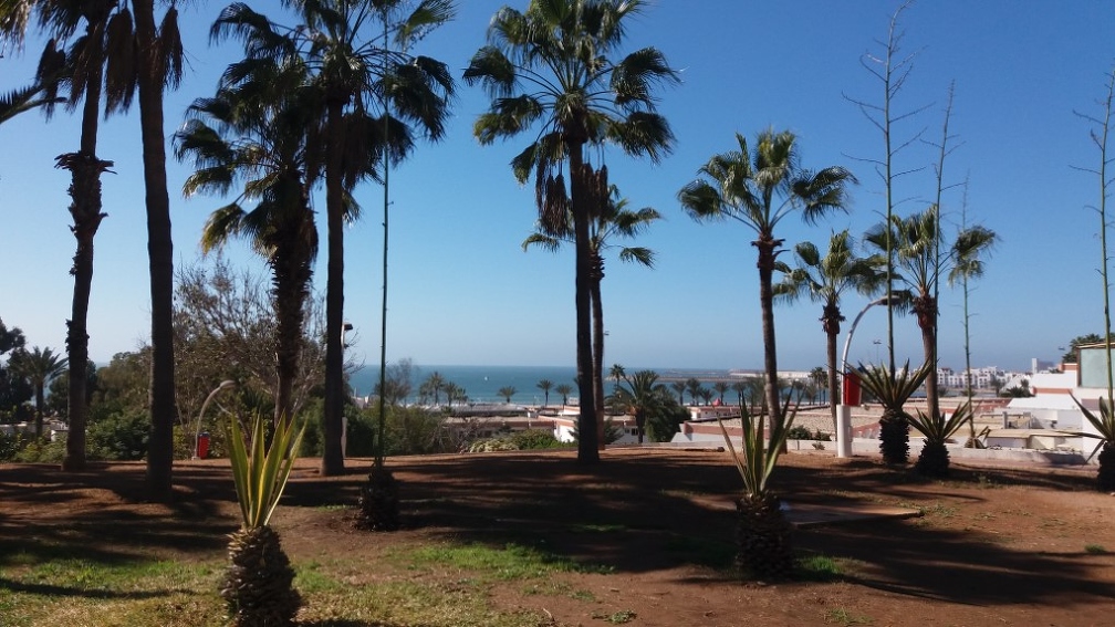 Wilaya of Agadir (Site).jpg