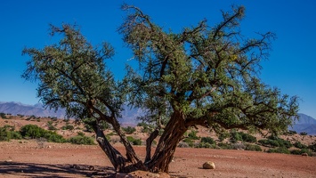 Aït Khetab Ouzedder 6-126 (Site)