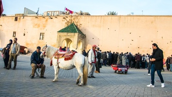 Meknès 203-2 (Site)