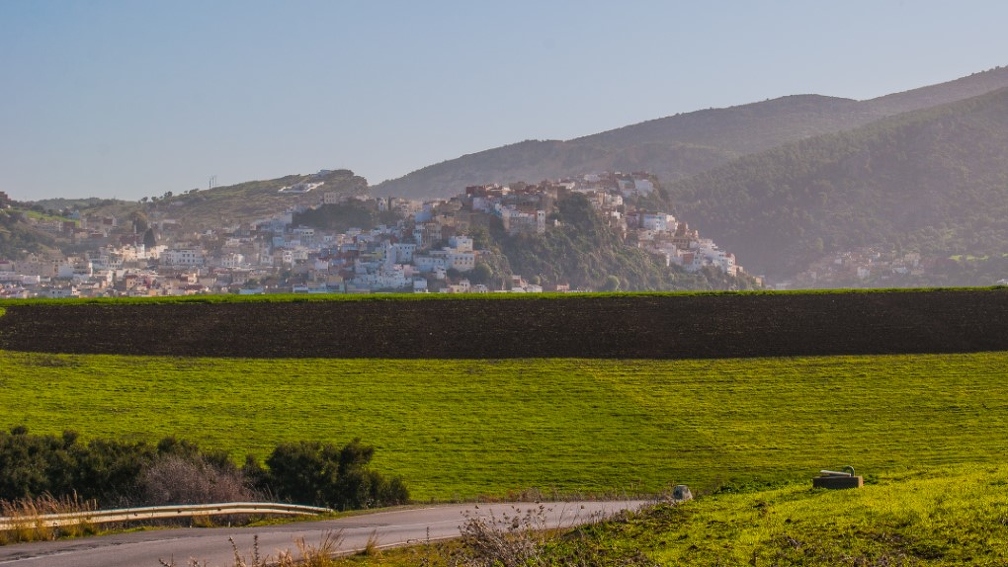 Moulay Driss Zerhoun (Site).jpg