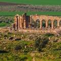 Volubilis 5 (Site)||<img src=i.php?/upload/2019/04/26/20190426173732-d4d7622f-th.jpg>