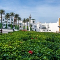 Tetouan 23 (Site)||<img src=i.php?/upload/2019/04/26/20190426180608-741ed262-th.jpg>