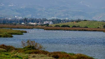 Hay Oued El Maleh 95 (Site)