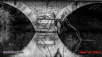 Pont a Moustique