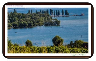 Rive droite lac Constance (3)