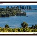 Rive droite lac Constance (3)||<img src=_data/i/upload/2022/07/09/20220709185513-b0d73a56-th.jpg>
